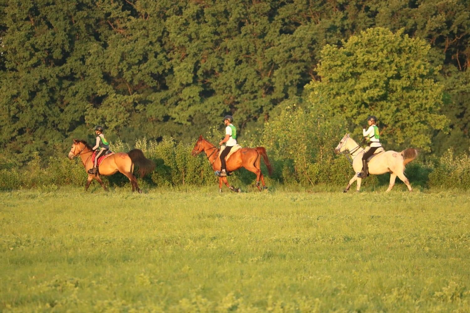 Ranc Ramarin Garcin