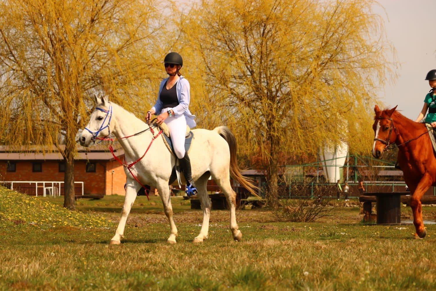 Vikendica Ranc Ramarin *